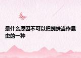 是什么原因不可以把蜘蛛当作昆虫的一种