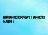 猪脚姜可以放冰箱吗（姜可以放冰箱吗）