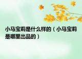 小马宝莉是什么样的（小马宝莉是哪里出品的）