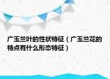 广玉兰叶的性状特征（广玉兰花的特点有什么形态特征）