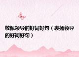敬佩领导的好词好句（表扬领导的好词好句）