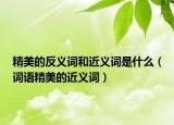精美的反义词和近义词是什么（词语精美的近义词）