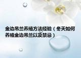 金边吊兰养殖方法经验（冬天如何养殖金边吊兰以及禁忌）