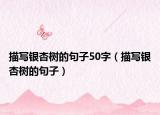 描写银杏树的句子50字（描写银杏树的句子）