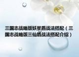 三国志战略版妖星盾战法搭配（三国志战略版三仙盾战法搭配介绍）