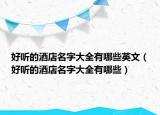 好听的酒店名字大全有哪些英文（好听的酒店名字大全有哪些）