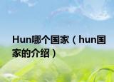 Hun哪个国家（hun国家的介绍）