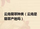云南翡翠种类（云南是翡翠产地吗）