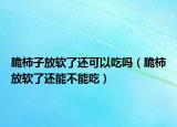 脆柿子放软了还可以吃吗（脆柿放软了还能不能吃）