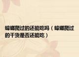 蟑螂爬过的还能吃吗（蟑螂爬过的干货是否还能吃）