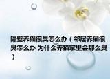 隔壁养猫很臭怎么办（邻居养猫很臭怎么办 为什么养猫家里会那么臭）