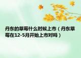 丹东的草莓什么时候上市（丹东草莓在12-5月开始上市对吗）