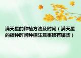 满天星的种植方法及时间（满天星的播种时间种植注意事项有哪些）