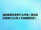请问喝菊花茶有什么作用（菊花茶功效有什么5种人不能喝菊花茶）