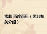 孟非 百度百科（孟非相关介绍）