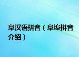 阜汉语拼音（阜埠拼音介绍）