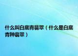 什么叫白底青翡翠（什么是白底青种翡翠）