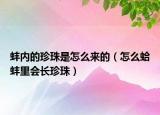 蚌内的珍珠是怎么来的（怎么蛤蚌里会长珍珠）