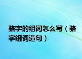 骆字的组词怎么写（骆字组词造句）