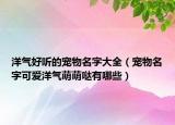 洋气好听的宠物名字大全（宠物名字可爱洋气萌萌哒有哪些）