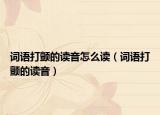 词语打颤的读音怎么读（词语打颤的读音）