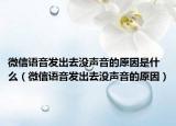 微信语音发出去没声音的原因是什么（微信语音发出去没声音的原因）