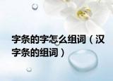 字条的字怎么组词（汉字条的组词）