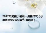 2022年男孩小名萌一点的洋气（小男孩名字2022洋气 有哪些）