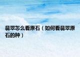 翡翠怎么看原石（如何看翡翠原石的种）