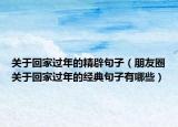 关于回家过年的精辟句子（朋友圈关于回家过年的经典句子有哪些）