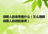 微斯人的意思是什么（怎么理解微斯人的微的意思）