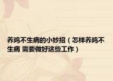 养鸡不生病的小妙招（怎样养鸡不生病 需要做好这些工作）