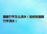 猫眼竹芋怎么浇水（如何给猫眼竹芋浇水）