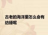 古老的海洋里怎么会有纺锤呢