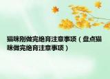 猫咪刚做完绝育注意事项（盘点猫咪做完绝育注意事项）