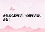 金鱼怎么说英语（如何英语表达金鱼）
