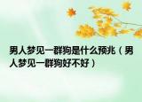 男人梦见一群狗是什么预兆（男人梦见一群狗好不好）