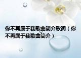 你不再属于我歌曲简介歌词（你不再属于我歌曲简介）