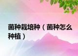 菌种栽培种（菌种怎么种植）