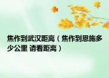 焦作到武汉距离（焦作到恩施多少公里 请看距离）
