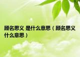 顾名思义 是什么意思（顾名思义什么意思）