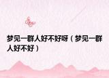 梦见一群人好不好呀（梦见一群人好不好）