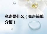 竞走是什么（竞走简单介绍）