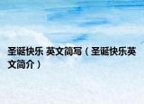 圣诞快乐 英文简写（圣诞快乐英文简介）