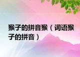 猴子的拼音猴（词语猴子的拼音）