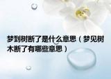 梦到树断了是什么意思（梦见树木断了有哪些意思）