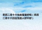 农历二月十六生的宝宝好吗（农历二月十六日出生的人好不好）
