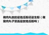 做肉丸放的是地瓜粉还是生粉（做猪肉丸子里面是放地瓜粉吗）