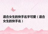 适合女生的快手名字可爱（适合女生的快手名）