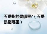 五岳指的是哪里?（五岳是指哪里）